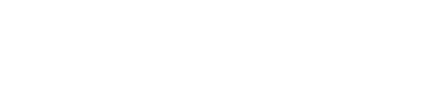 Priority Capital