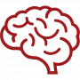 Brain Brain