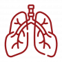 Lungs Lungs
